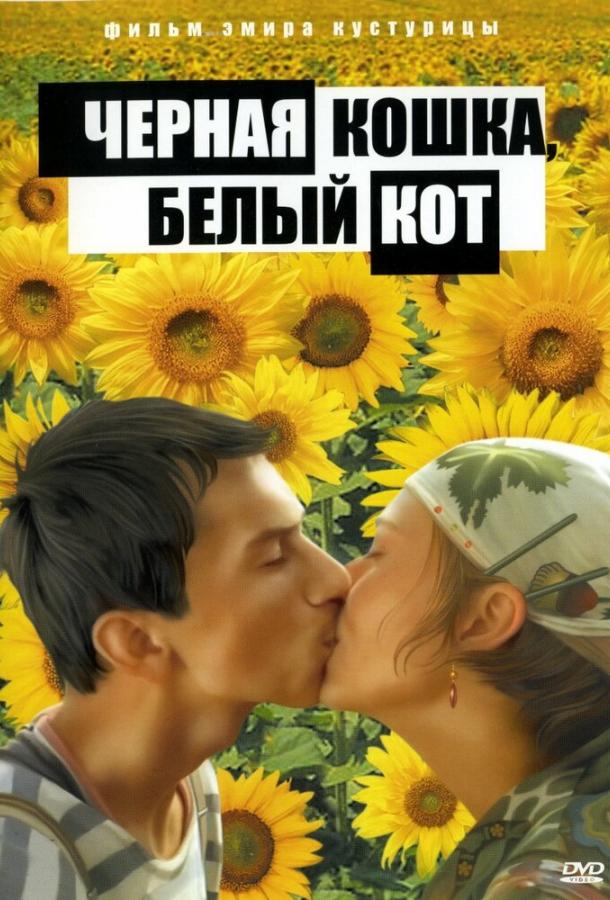 Фильм Черная кошка, белый кот (1998) смотреть онлайн бесплатно